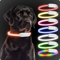 PAJ Light LED Hundehalsband cm verstellbar wasserfest schwarz, 7 Farben