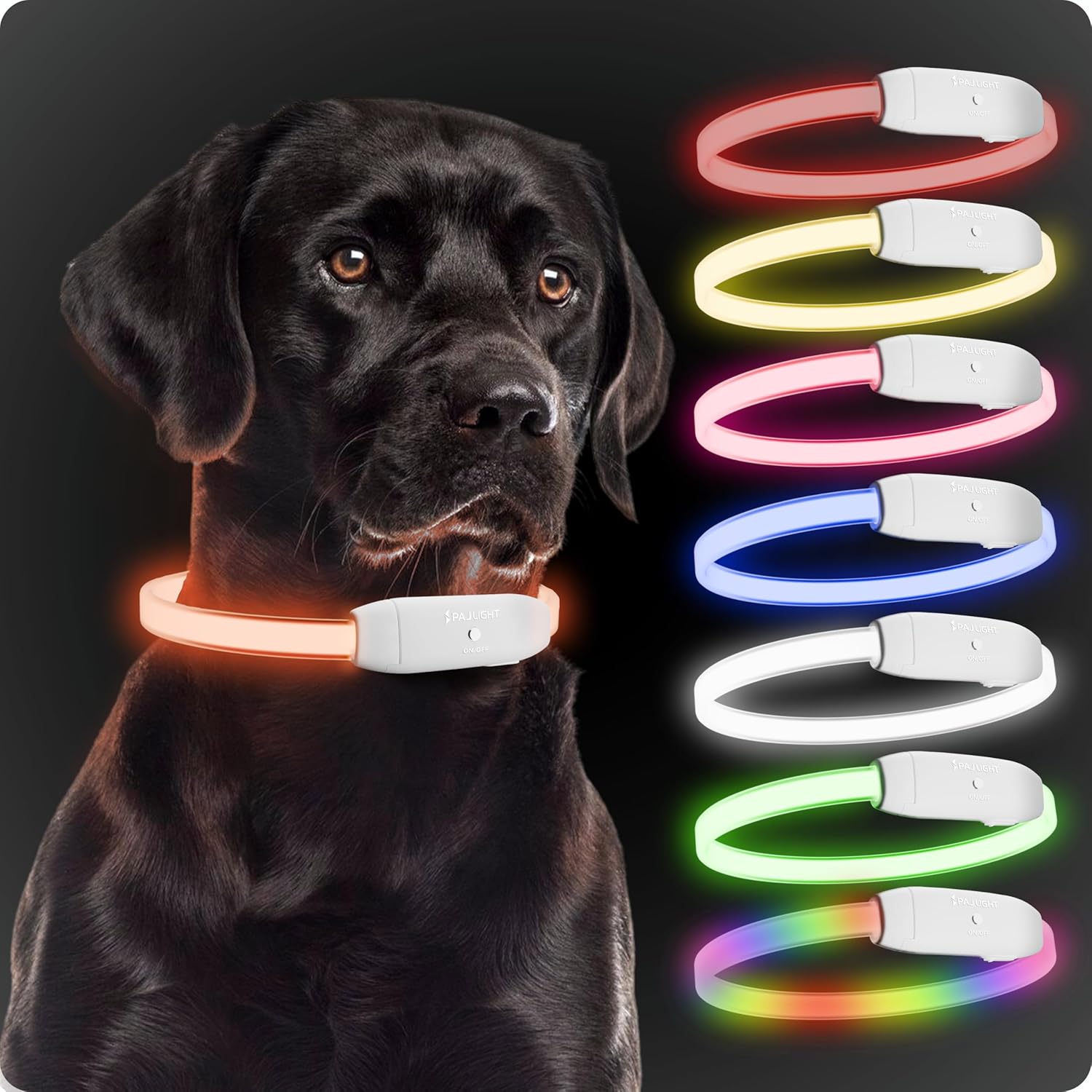 PAJ Light LED Hundehalsband cm verstellbar wasserfest schwarz, 7 Farben