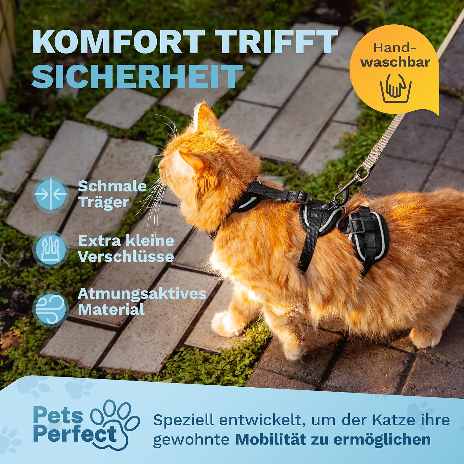 Katzengeschirr verstellbar mit Leine XS-S Schwarz Ausbruchsicher Spaziergang