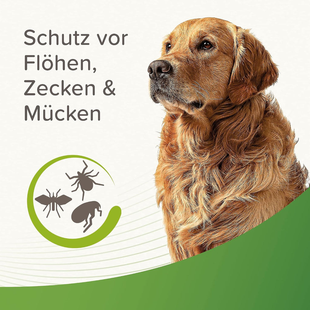 beaphar Zecken- und Flohschutz Spot-ON 3 x fuer kleine Hunde bis