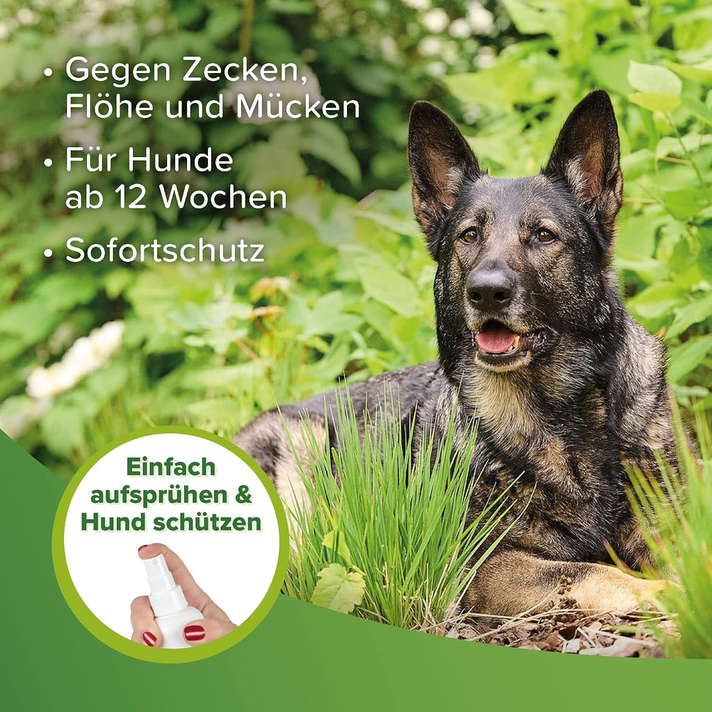 beaphar Zecken- und Flohschutz Spot-ON 3 x fuer kleine Hunde bis