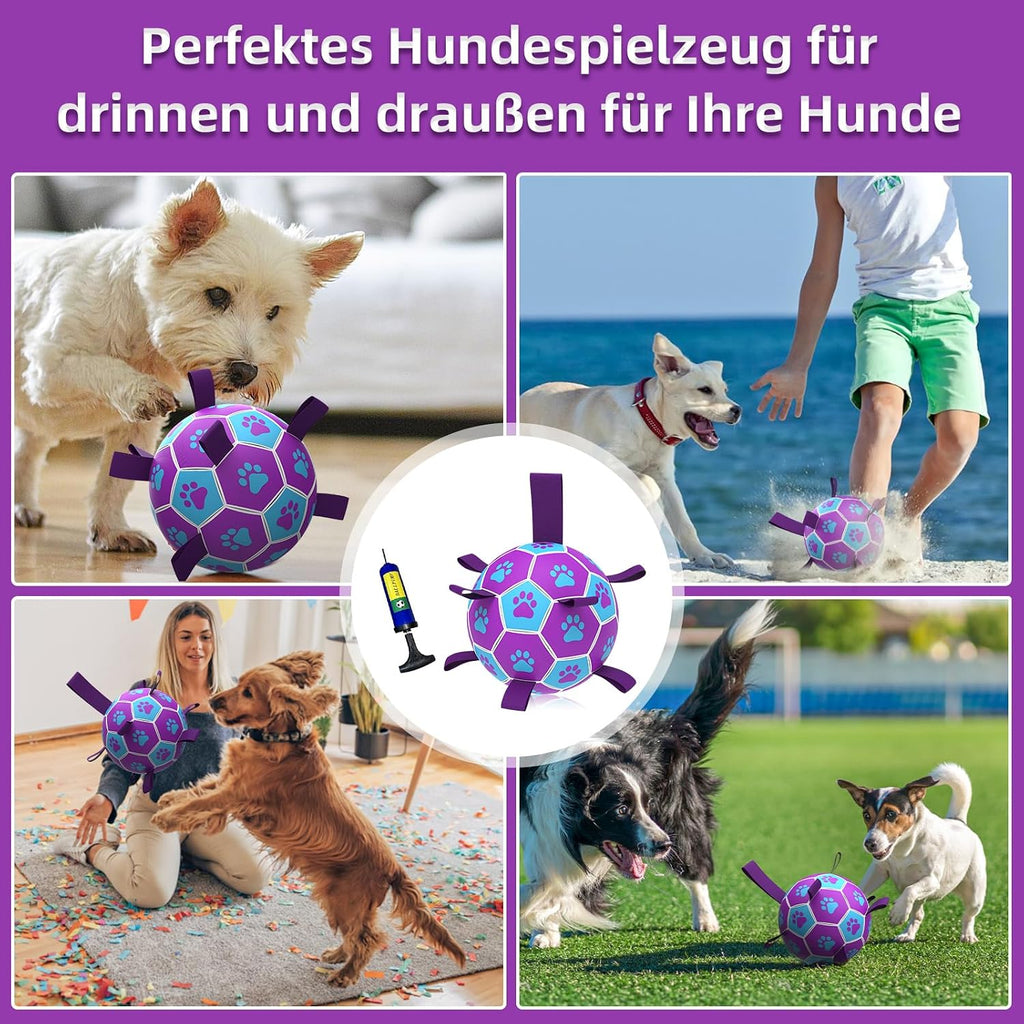HETOO Hundeball 6" mit Griff fuer mittlere und grosse Hunde M-L lila/blau