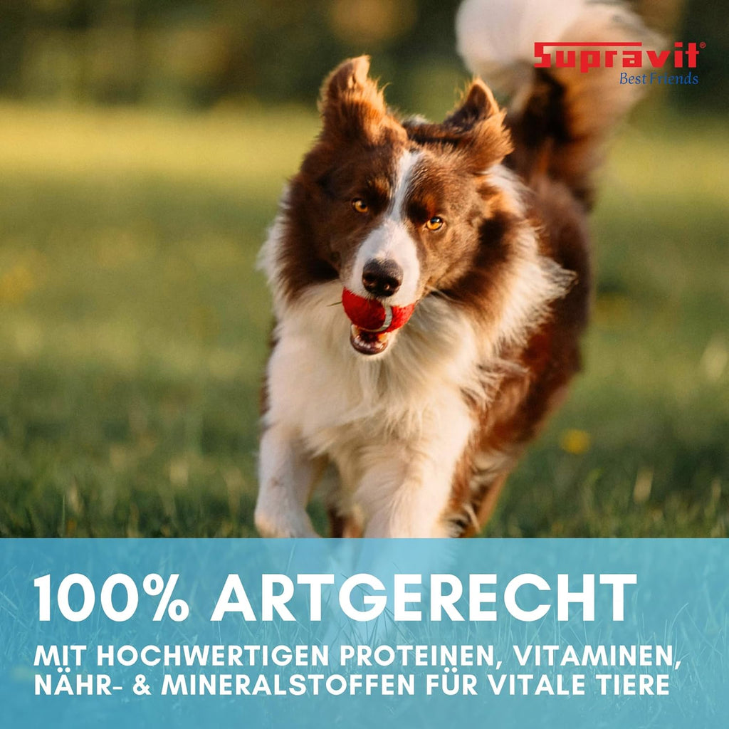 Supravit Hundefutter Nass Fisch & Lachs 12× getreidefrei, verschiedene Sorte