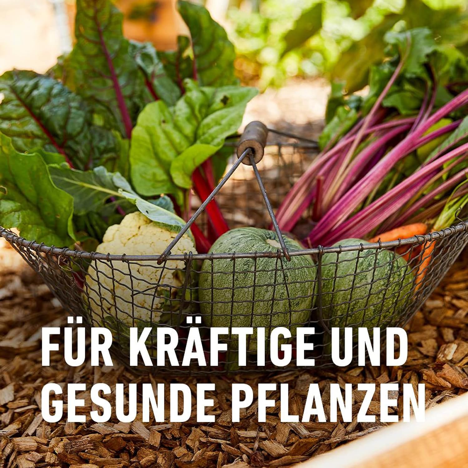 Garten Langzeit-Duenger COMPO verschiedene Sorten fuer Pflanzenpflege