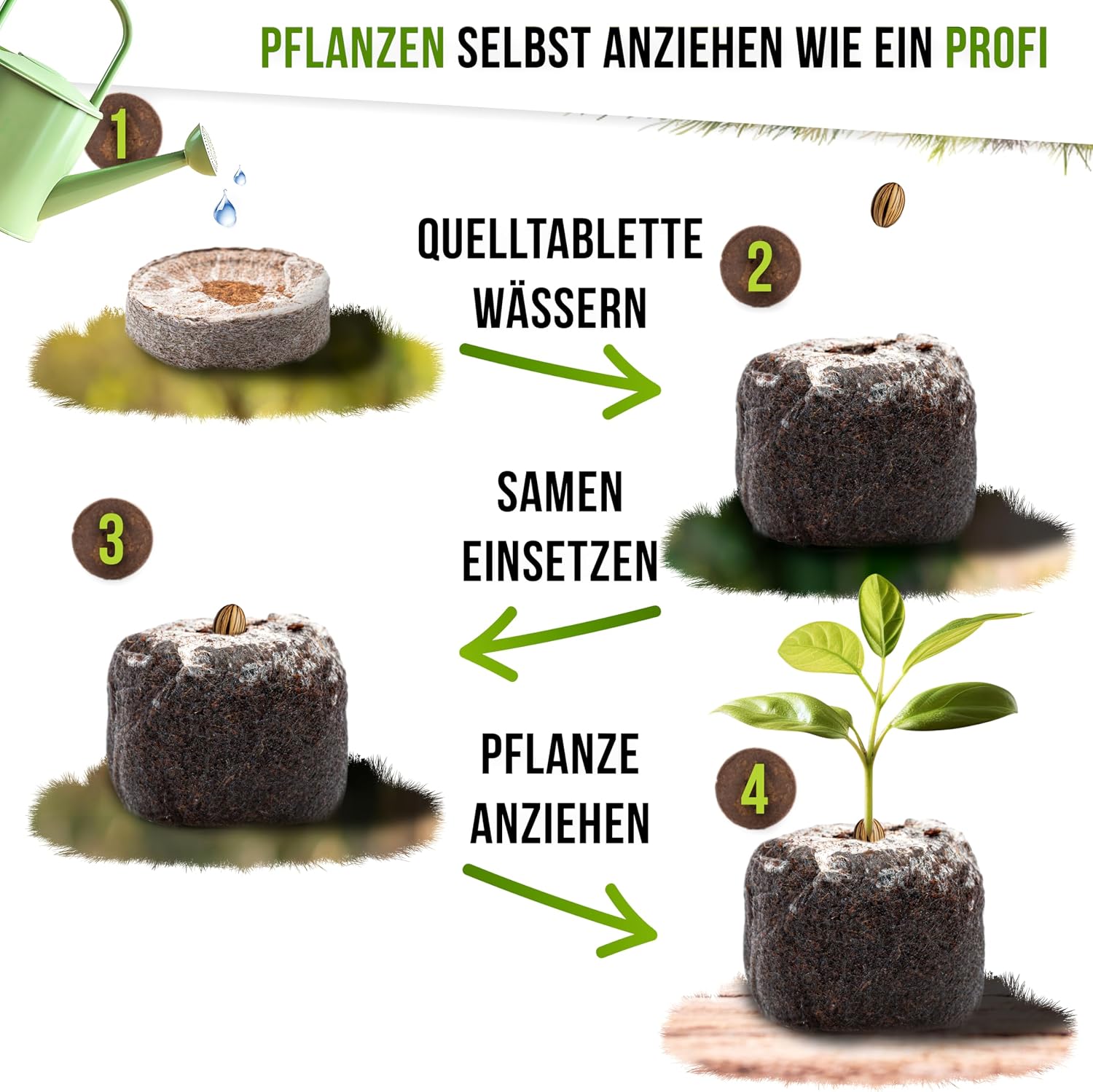 100 Kokos Quelltabletten torffrei Quelltabs Anzucht Toepfe Samen