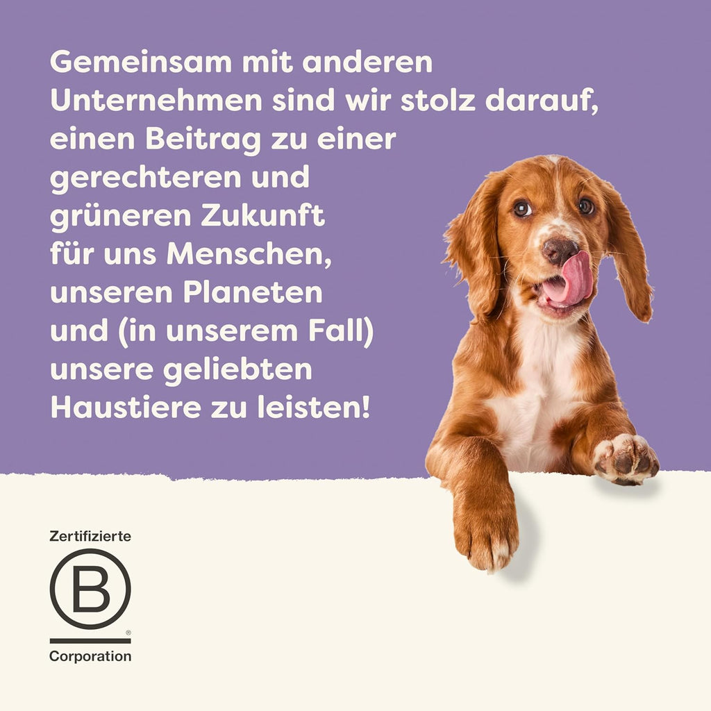 Applaws Nassfutter Hunde 6x85g getreidefrei Huhn Fisch Sauce verschi