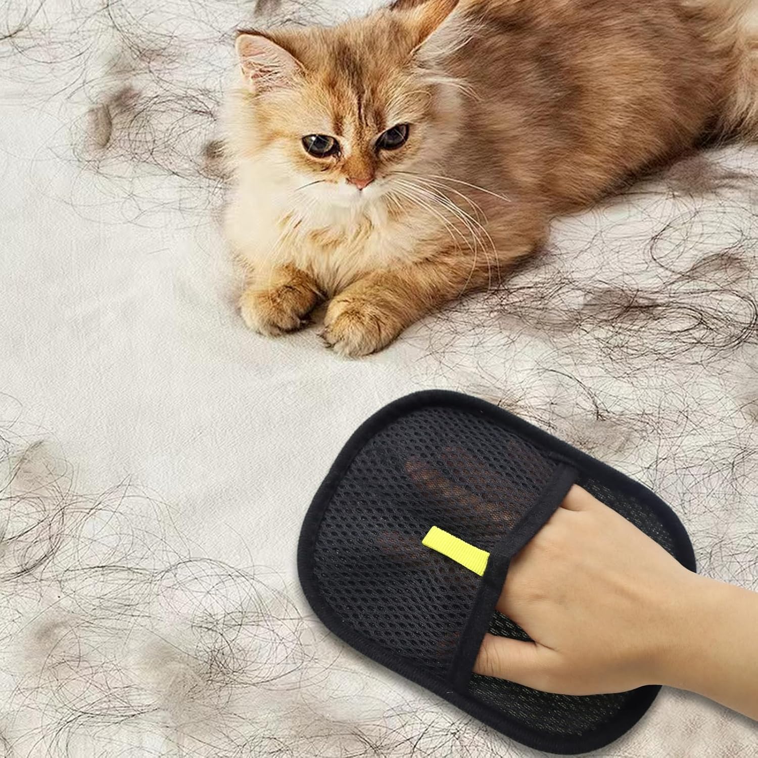 Tierhaarentferner Handschuh 4er Set Hund Katze Antistatisch Fellpflege Handschuh