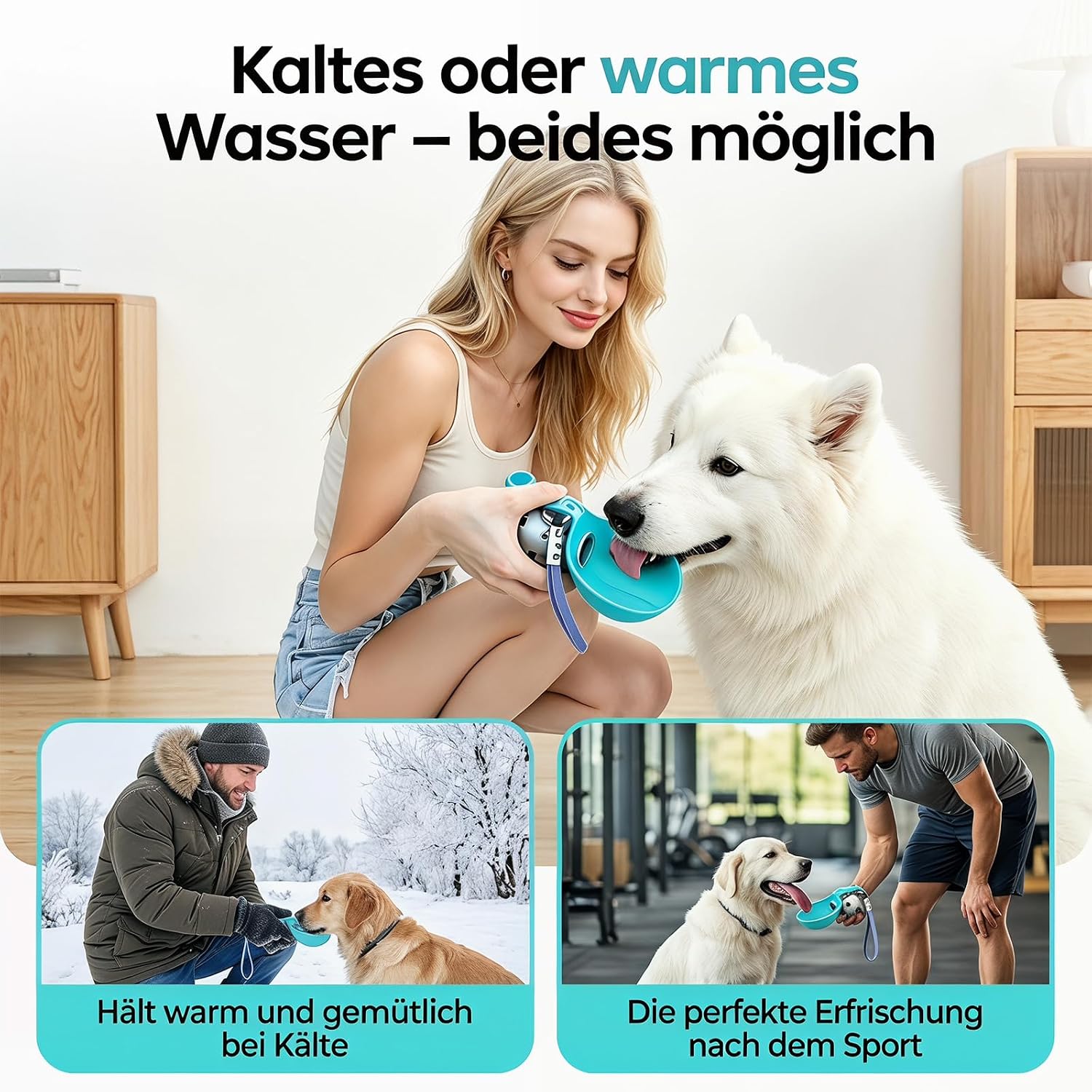 Hunde Trinkflasche 285ml aus Edelstahl mit faltbarem Silikonnapf blau