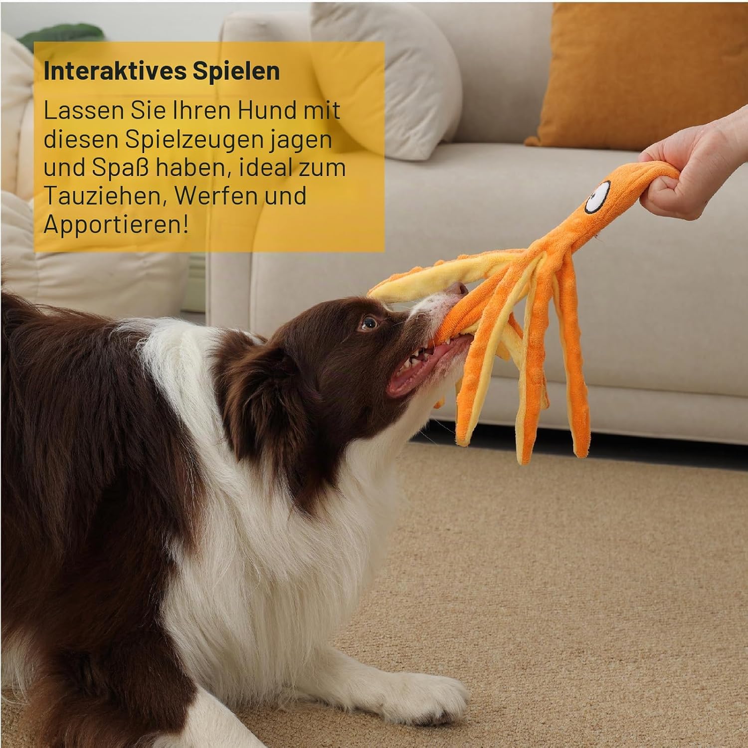 Hundespielzeug Krake Pluesch mit Quietschie und Crinkle fuer kleine und mittelgross