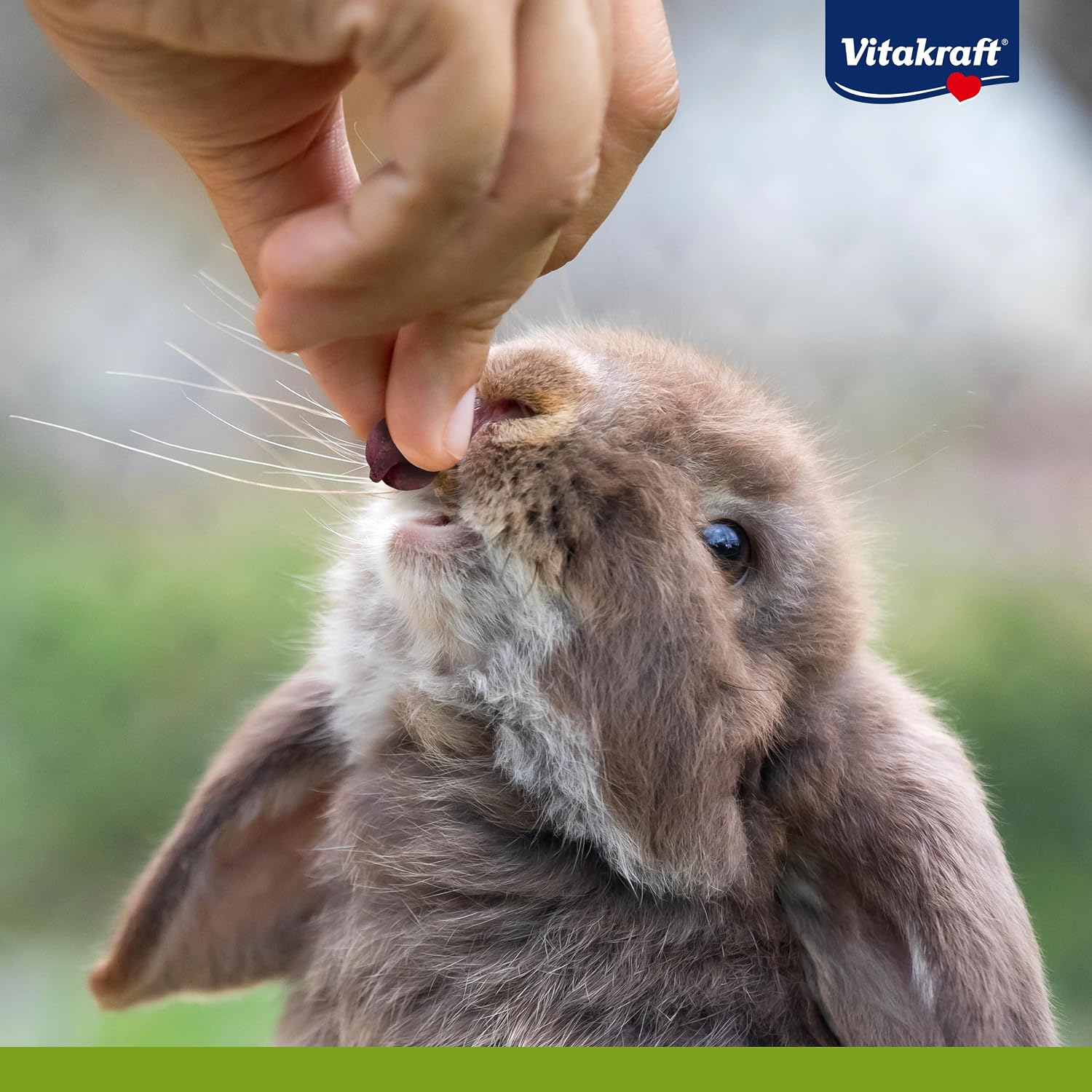 Vitakraft Drops Karotte fuer Hasen und Hamster Leckerli ohne Zucker