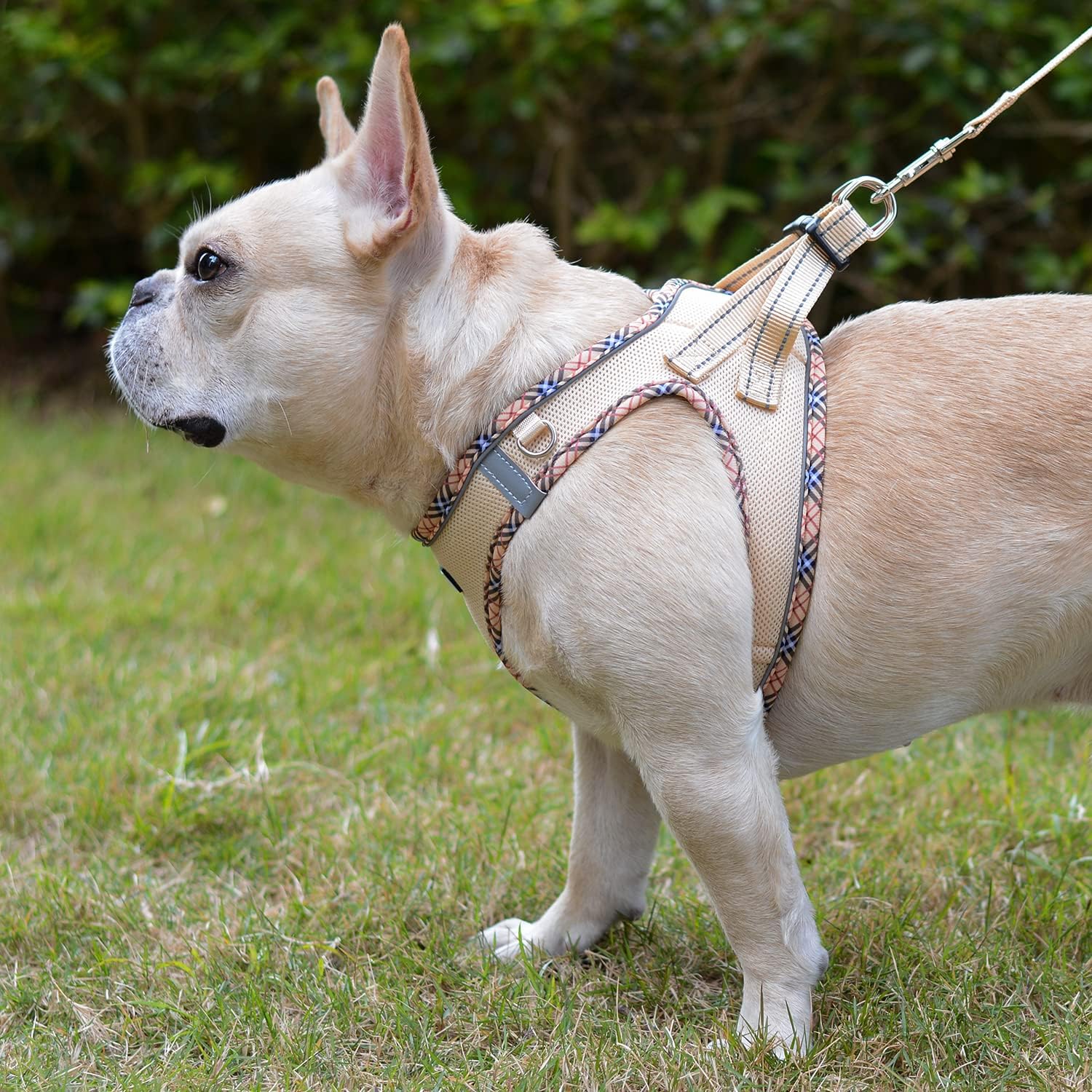 Reflektierendes Hundegeschirr Step-in atmungsaktiv Brustgeschirr mit Leine XXS-X