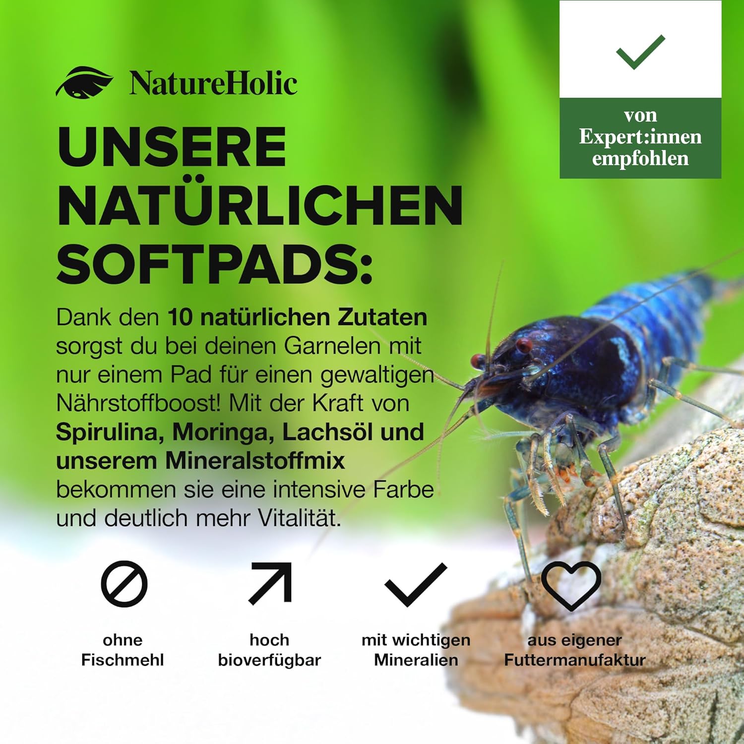 NatureHolic Garnelenfutter Mainfeed 30g - Fischmehlfrei, Panzeraufbau