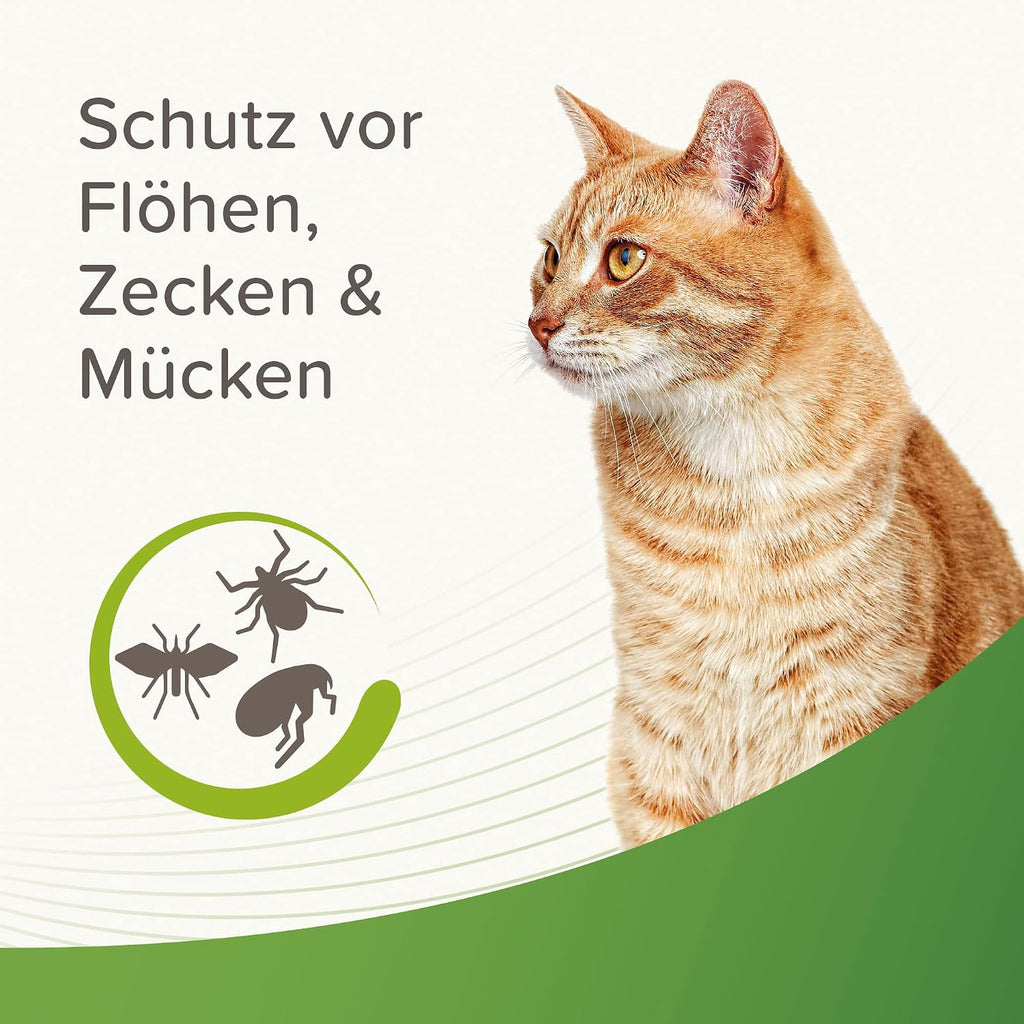 Beaphar Floh- und Zeckenshampoo