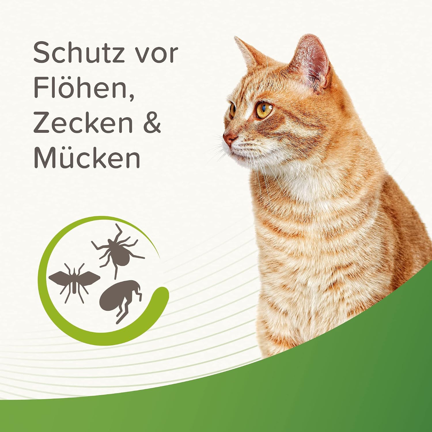 Beaphar Floh- und Zeckenshampoo