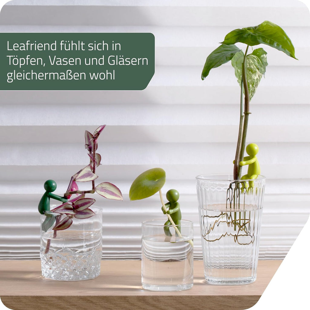 Leafriend Pflanzenhalter 3er Set fuer Stecklinge und Triebe Indoor