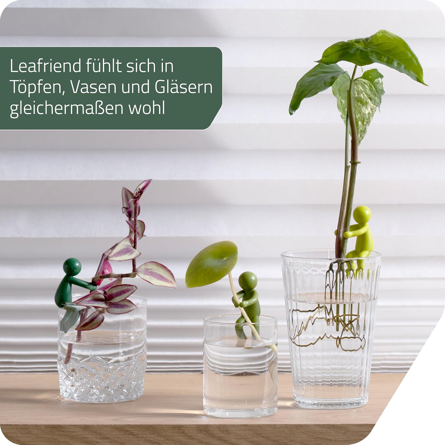 Leafriend Pflanzenhalter 3er Set fuer Stecklinge und Triebe Indoor