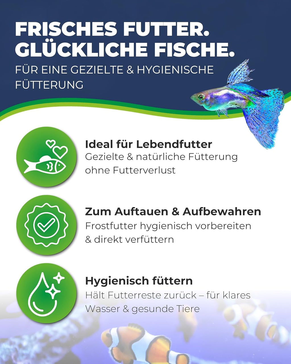Hobby Multibox Aquarium Futterbehälter 10x10x6 cm Sieb Frostfutter