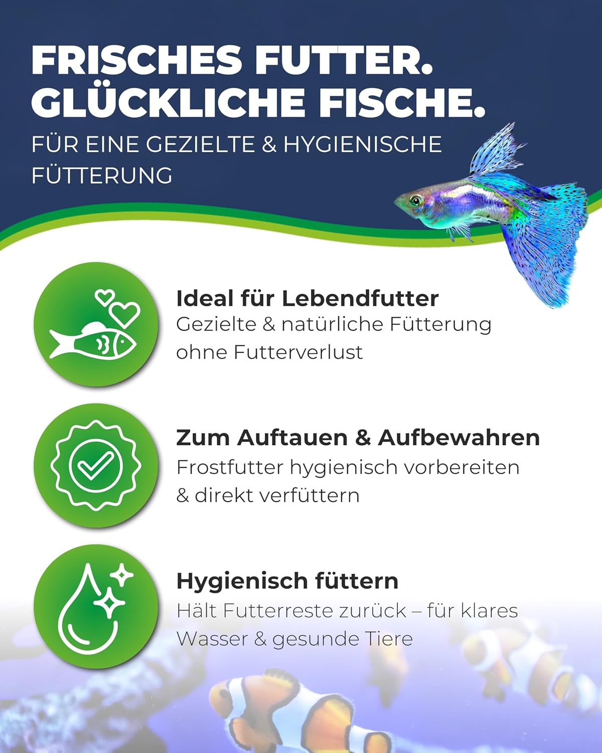 Hobby Multibox Aquarium Futterbehälter 10x10x6 cm Sieb Frostfutter