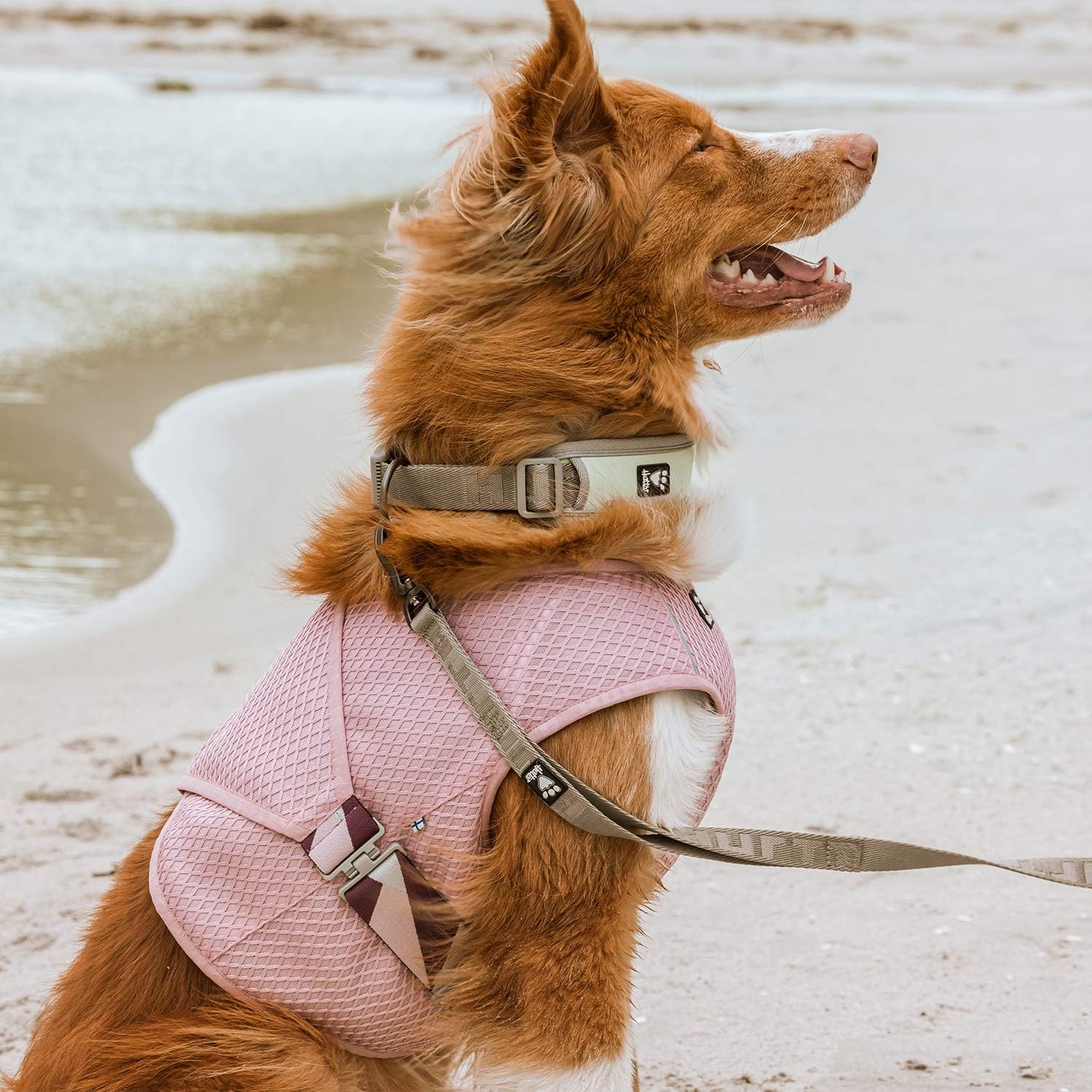 Hurtta Kuehlweste Hund Aquamarin Gr. 50cm-95cm fuer heissen Sommer