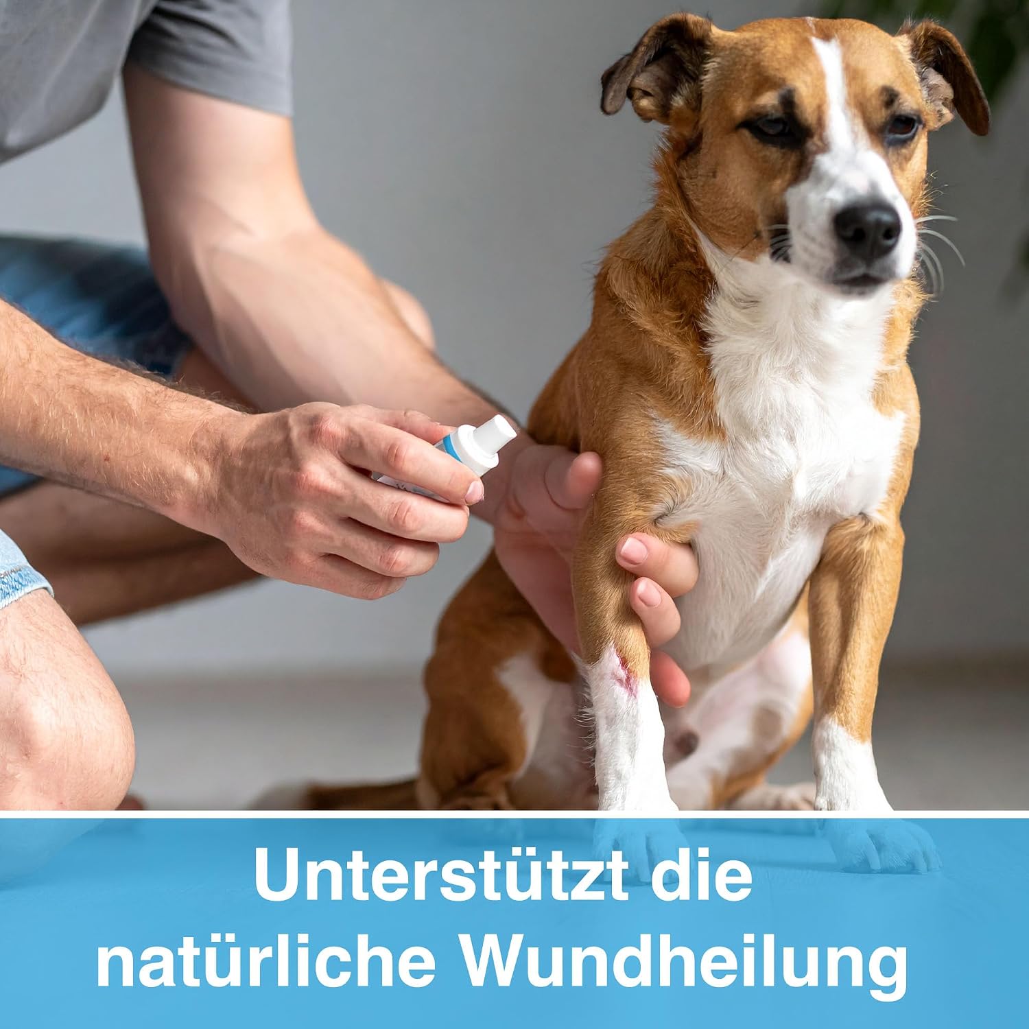 Tierhalter Wundspray pH-neutral alkoholfrei Haut- und Wundpflege