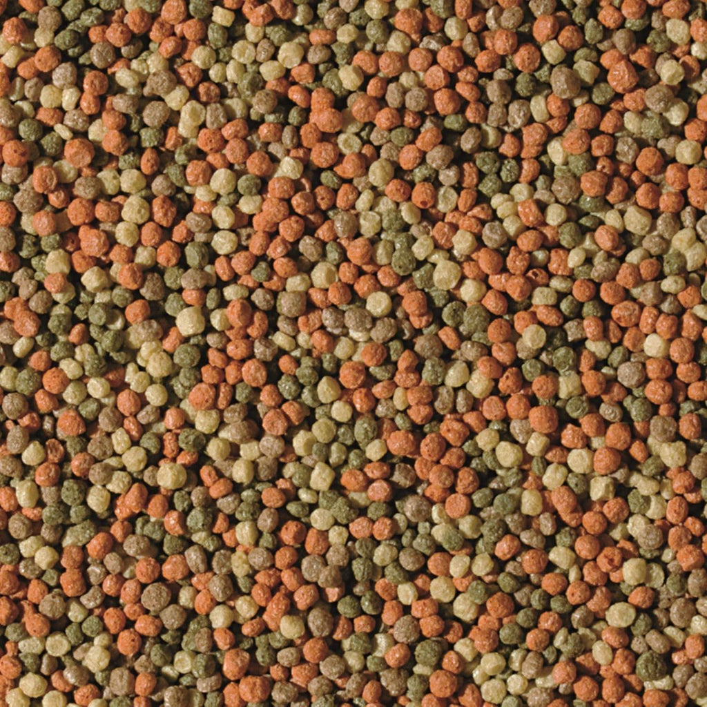 Pond Pellet Mix 3,3 L (462 g) Fischfutter für Koi und Goldfische, farbfördernd