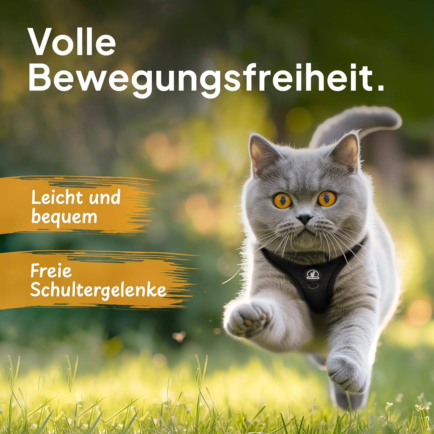 Katzengeschirr mit Leine Schwarz Groesse S verstellbar weich robust fuer Kitten