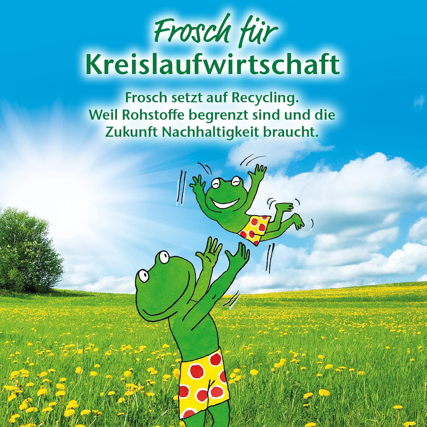 Mellerud Kunststoff- und Fensterrahmenreiniger