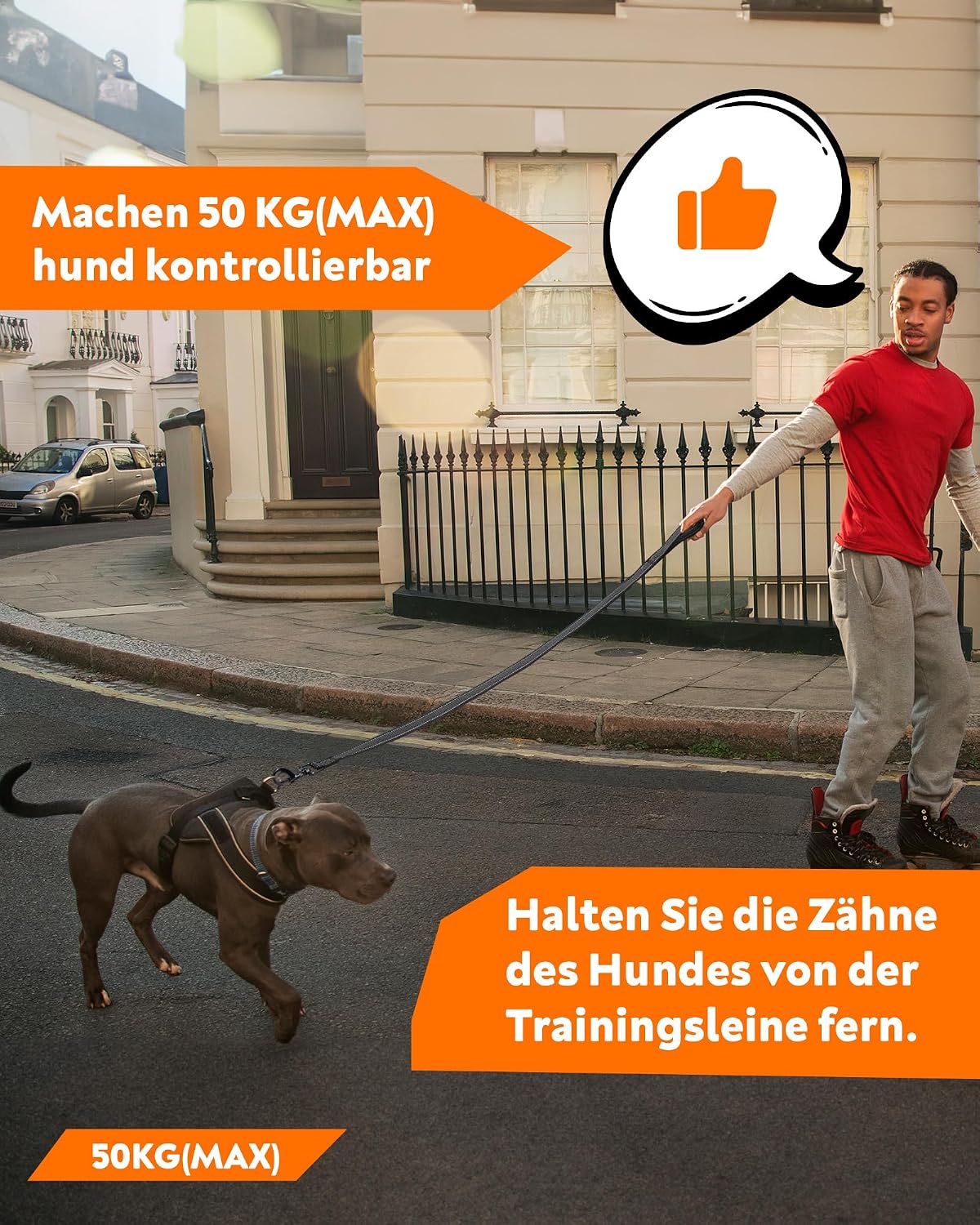 Toozey Hundeschleppleine wasserdicht 5m-20m Handschlaufe Karabiner Neon Gelb