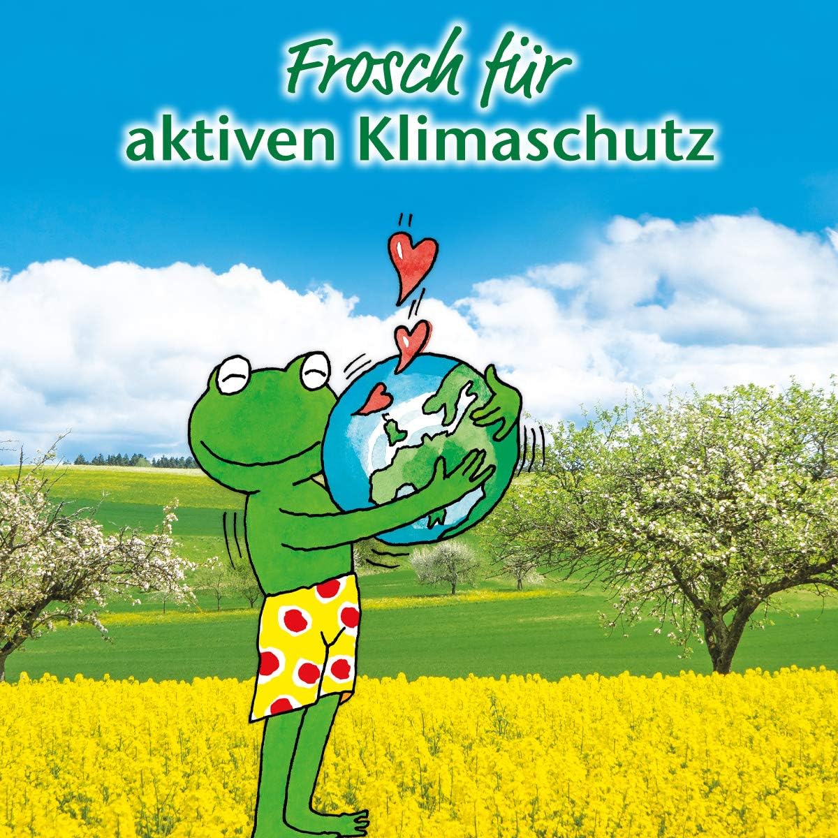 Mellerud Kunststoff- und Fensterrahmenreiniger