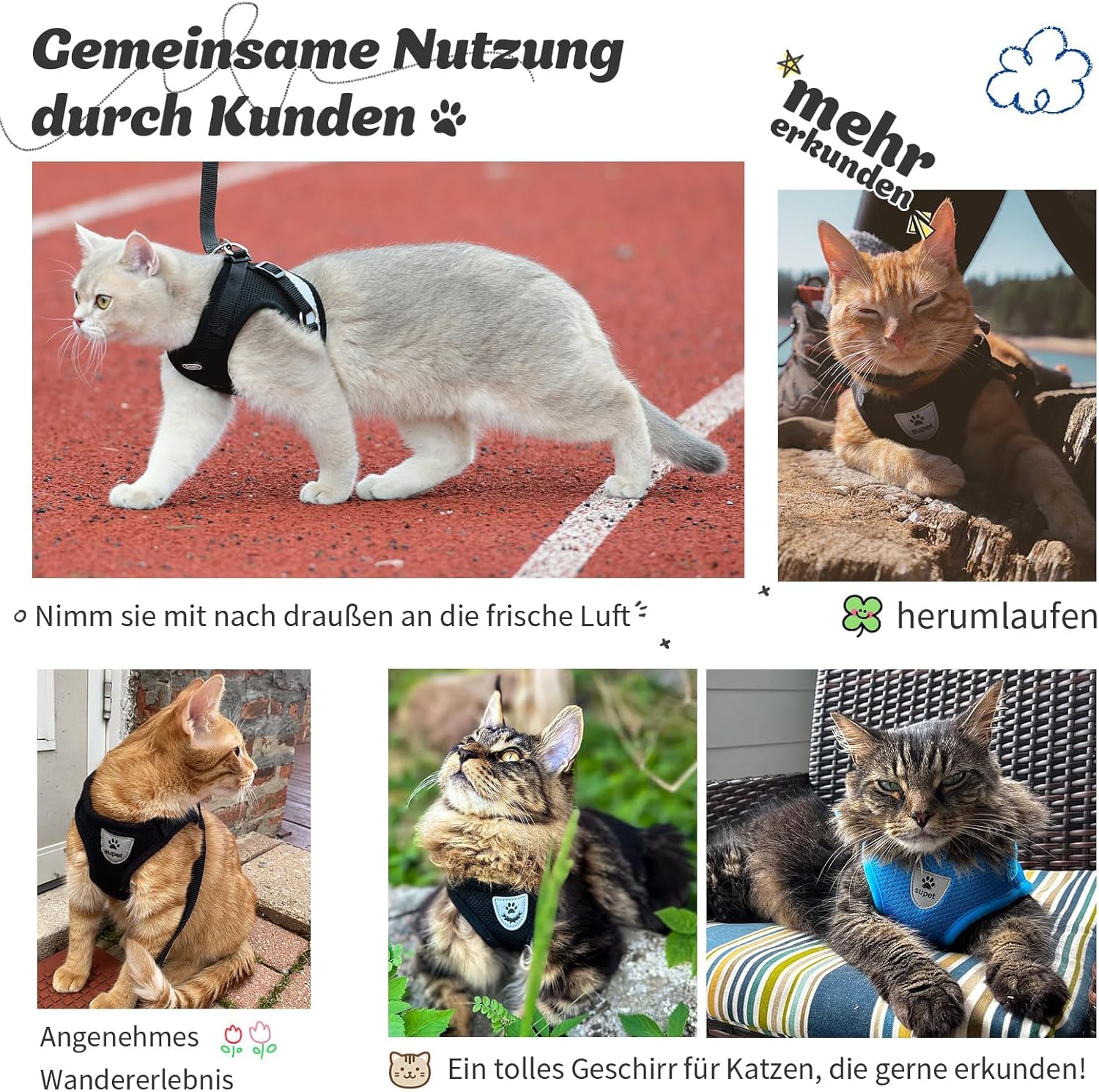 Supet Katzengeschirr Weste mit Leine verstellbar in verschiedenen Groessen und Farben