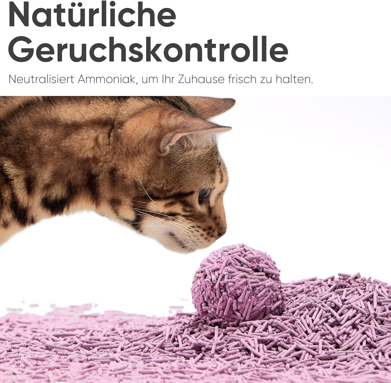 FUKUMARU Tofu Katzenstreu 10,8kg mit Lavendelduft verschiedene Packungen