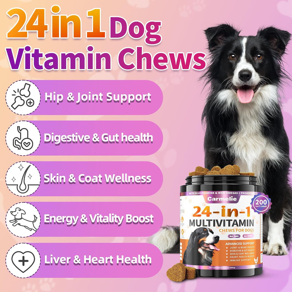 24-in-1 Hundesnacks 200 Kausticks Huhn Omega-3 Ergänzungs-Snack