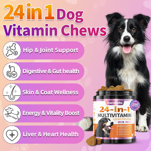 24-in-1 Hundesnacks 200 Kausticks Huhn Omega-3 Ergänzungs-Snack