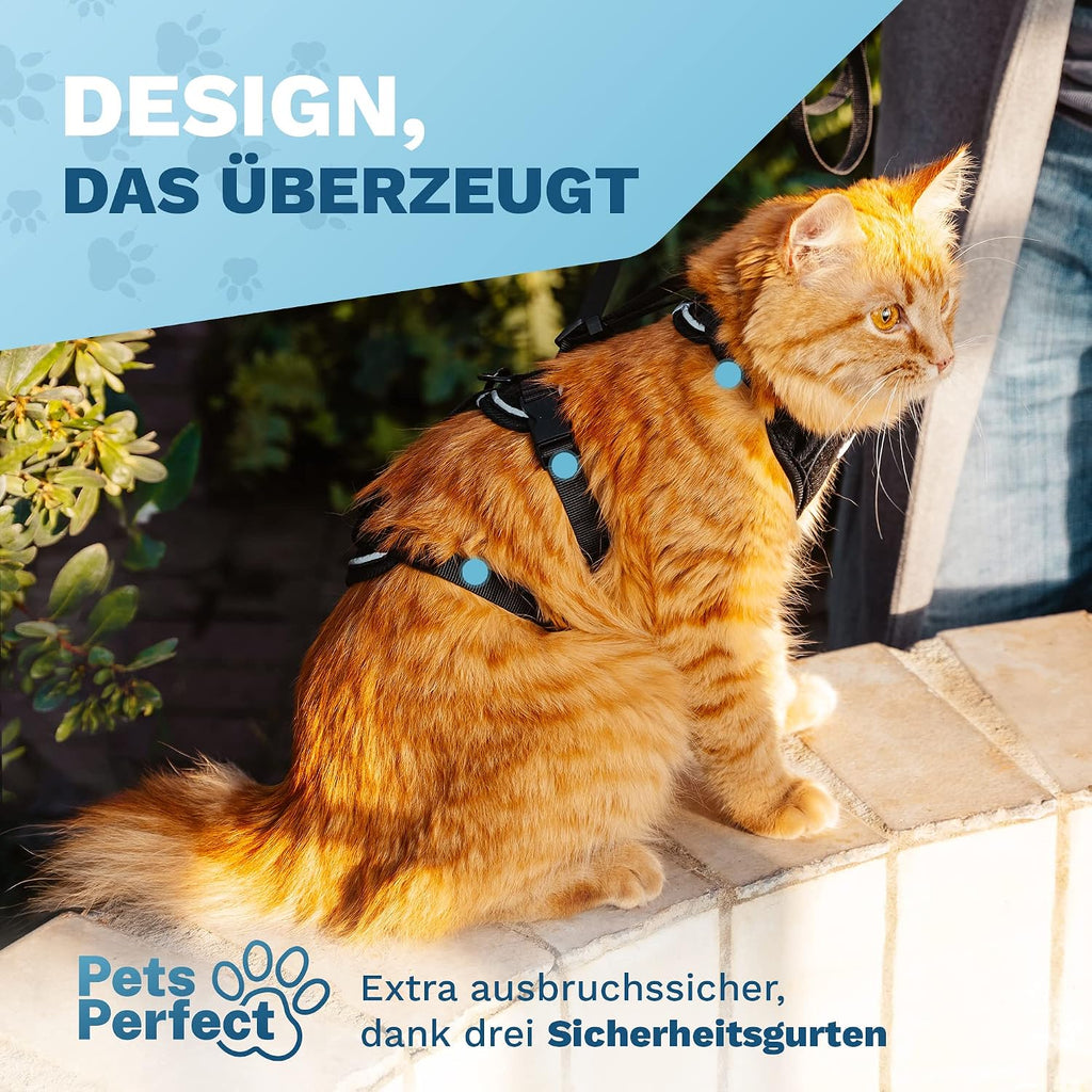 Katzengeschirr verstellbar mit Leine XS-S Schwarz Ausbruchsicher Spaziergang