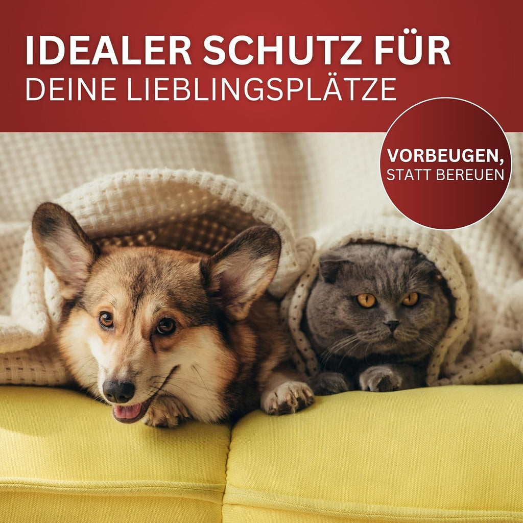 BIODELTA Urin-Stop 500 ml Abwehrspray gegen Markieren für Katzen Hunde