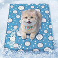 Pet Prime Kuehlmatte 50x40 cm fuer Hunde Haustierkuehlmatte Kiste Huette Bett