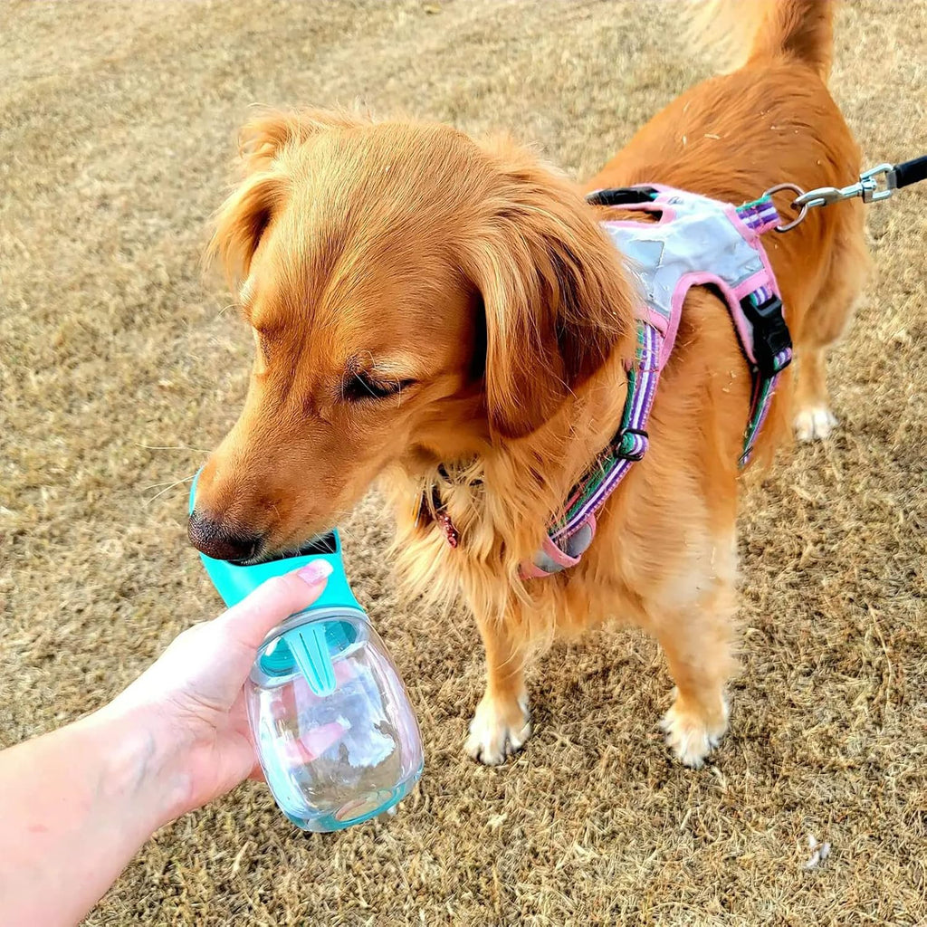 Nepfaivy Hundetrinkflasche mit Futterbehaelter auslaufsicher