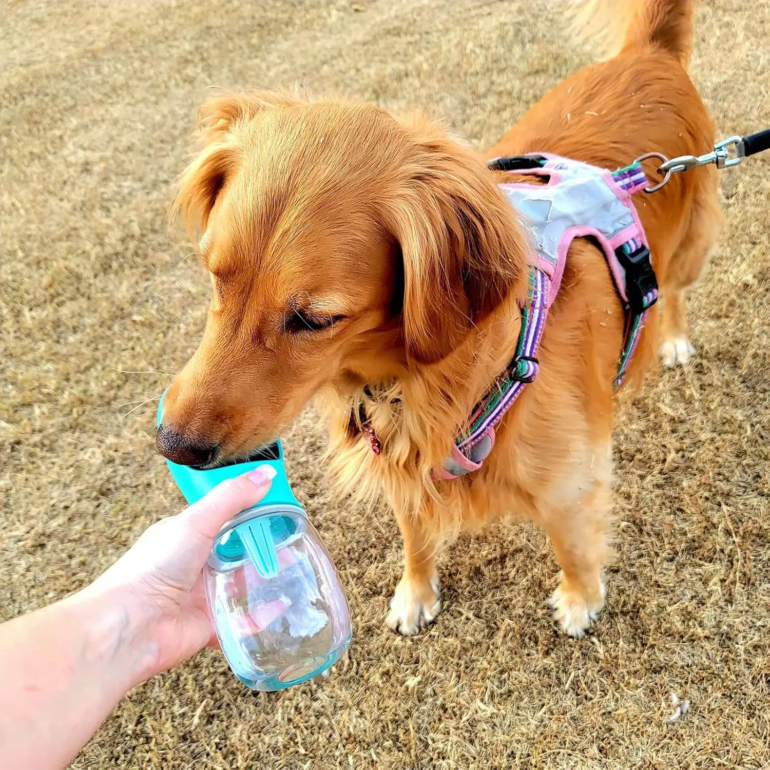 Nepfaivy Hundetrinkflasche mit Futterbehaelter auslaufsicher