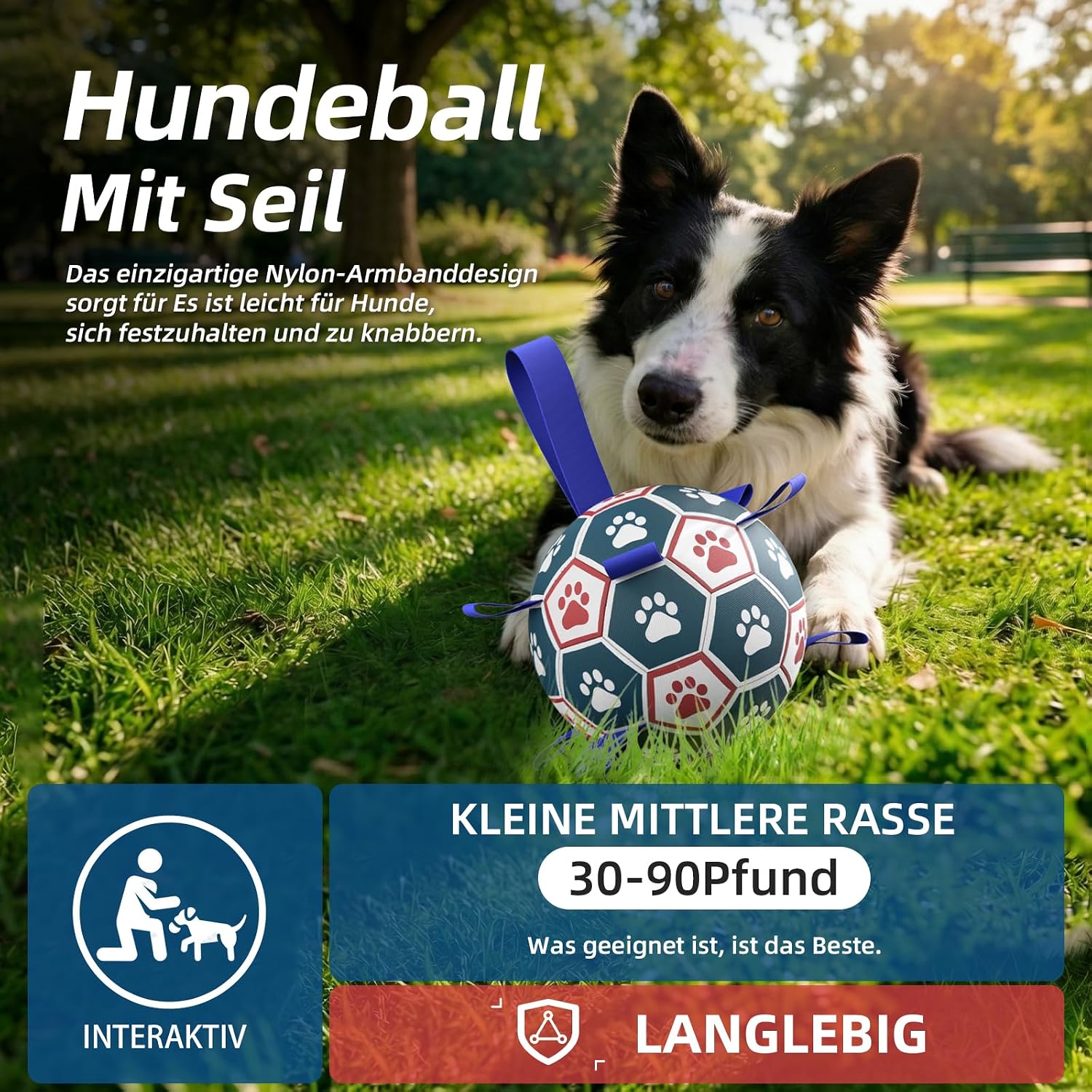 HETOO Hundeball 6" mit Griff fuer mittlere und grosse Hunde M-L lila/blau