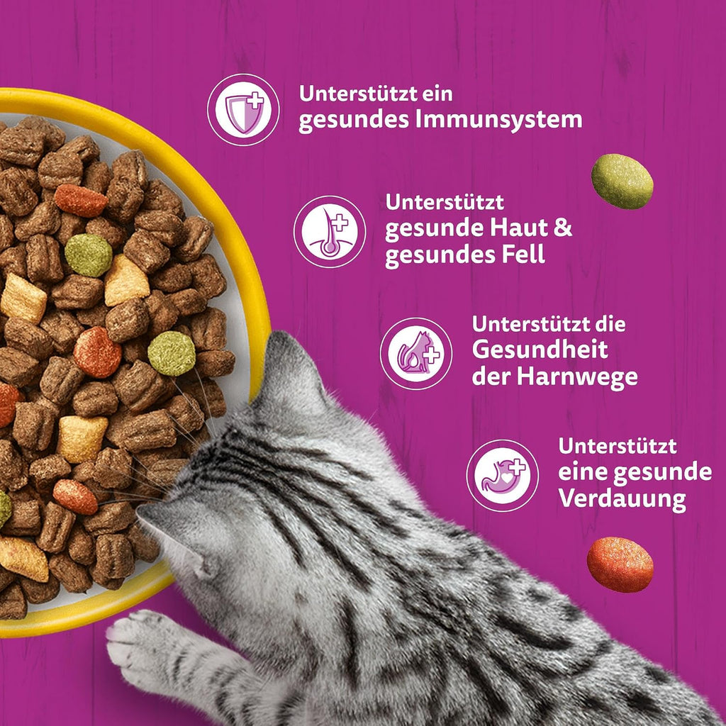 Katzenfutter Trockenfutter verschiedene Sorten Huhn