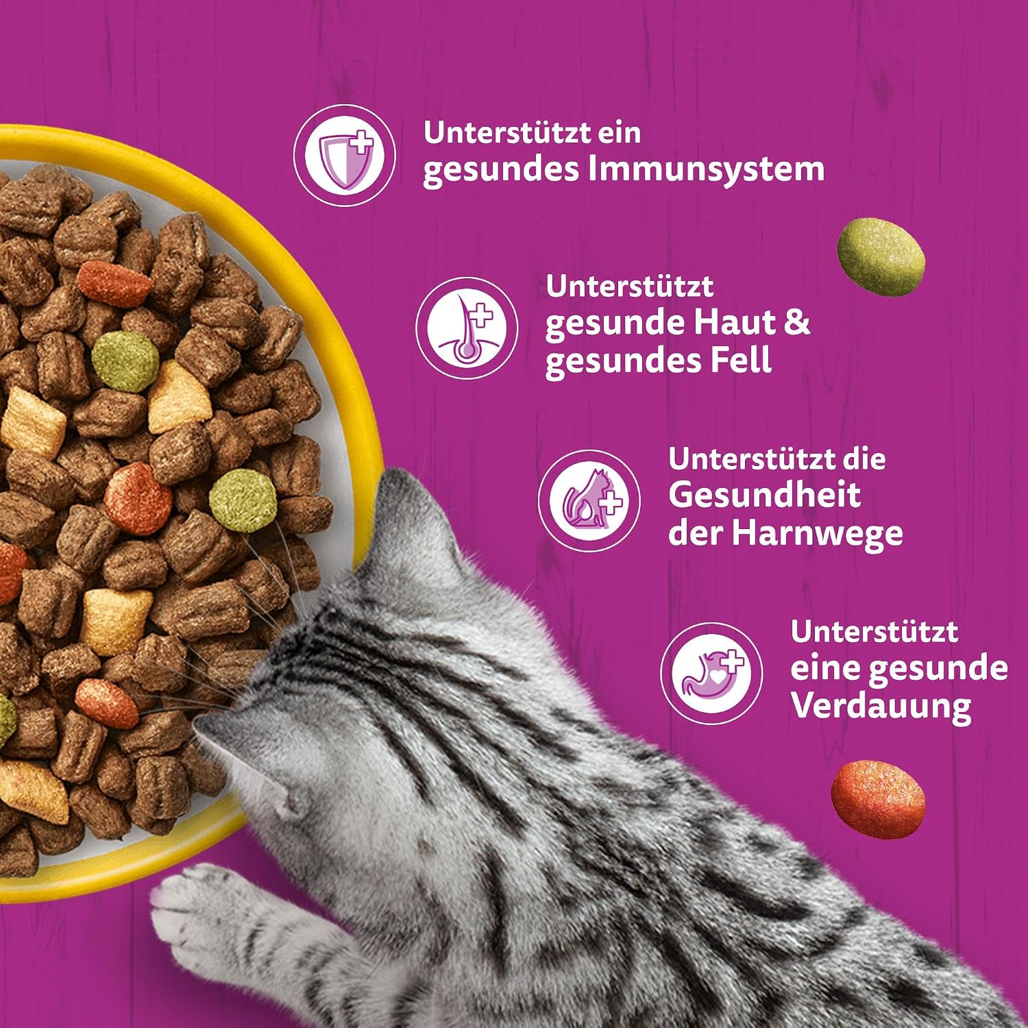 Katzenfutter Trockenfutter verschiedene Sorten Huhn