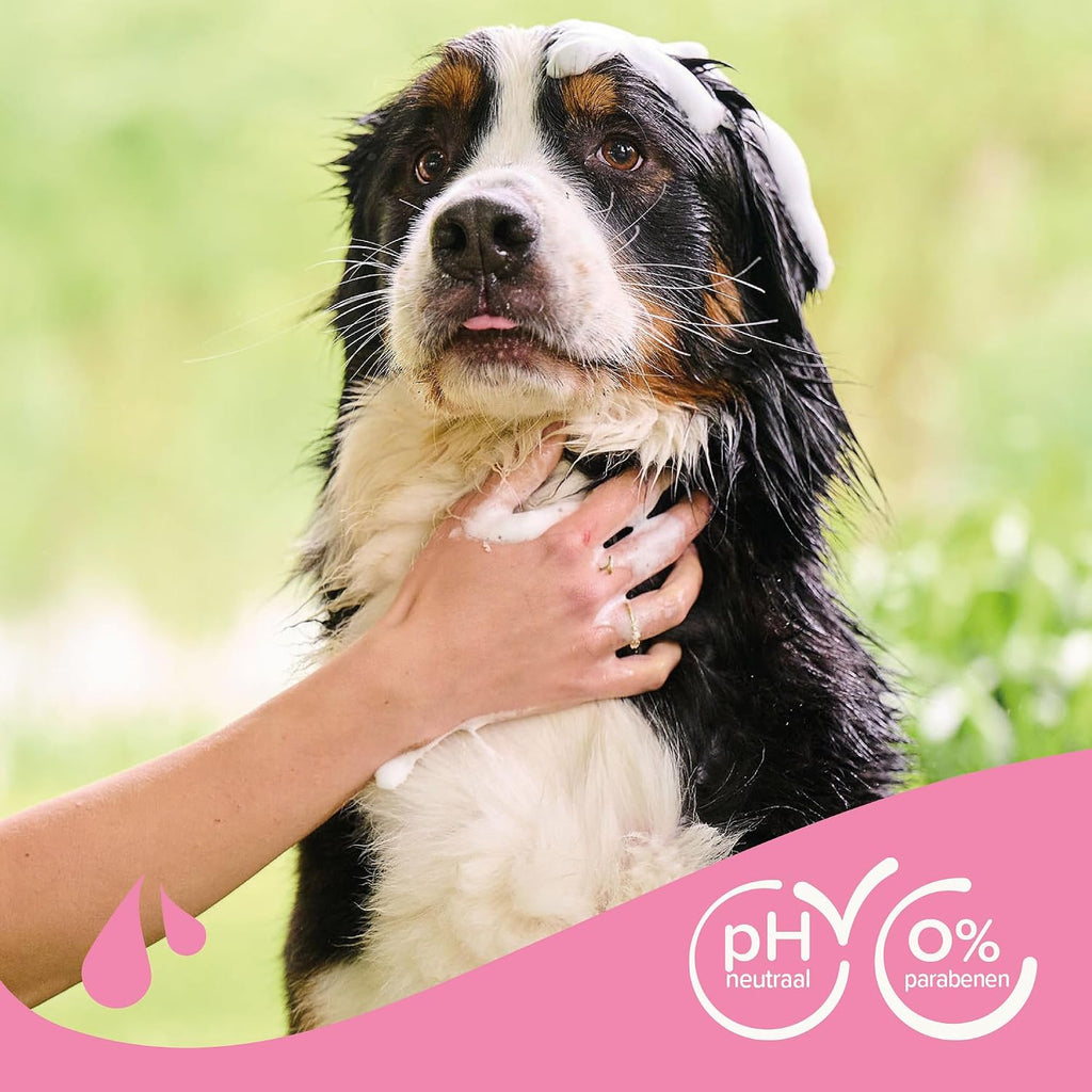 Beaphar Hundeshampoo Fell-Glanz mit Macadamiaoel und Aloe Vera