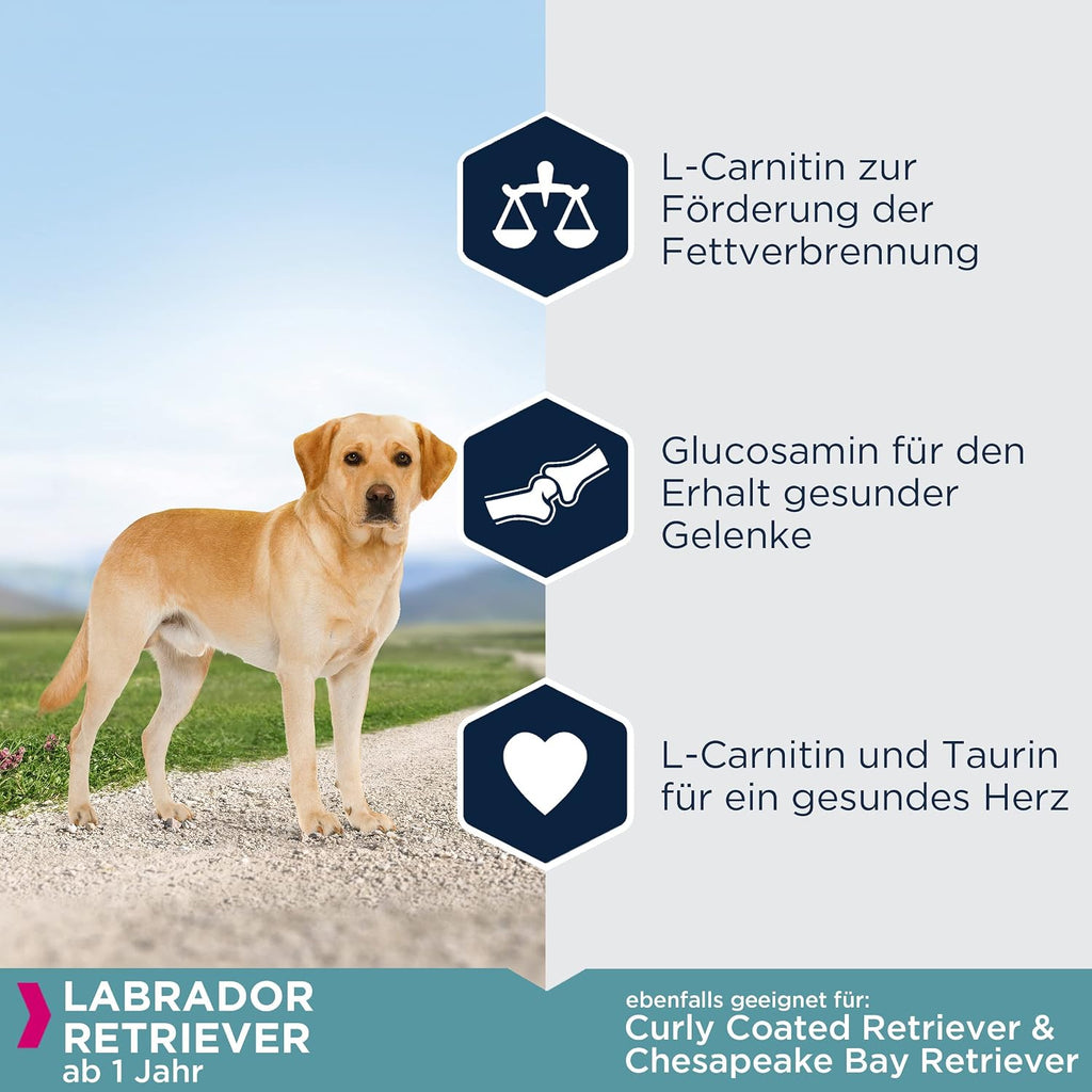 Eukanuba Labrador Retriever Trockenfutter Huhn 12 kg Rassegerecht