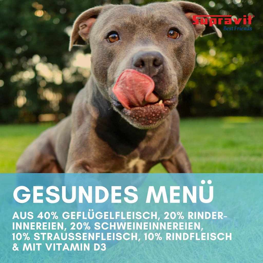 Supravit Hundefutter Nass Fisch & Lachs 12× getreidefrei, verschiedene Sorte