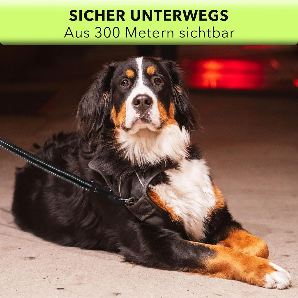AVANA reflektierende Hundeleine 1,5 m mit Kurzfuehrer und gepolsterten Griffen