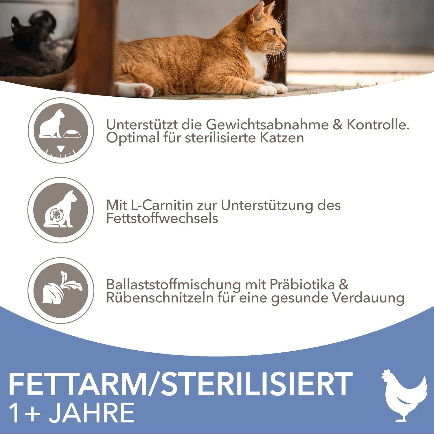 IAMS Sterilised Katzenfutter Huhn Trockenfutter ab 1 Jahr