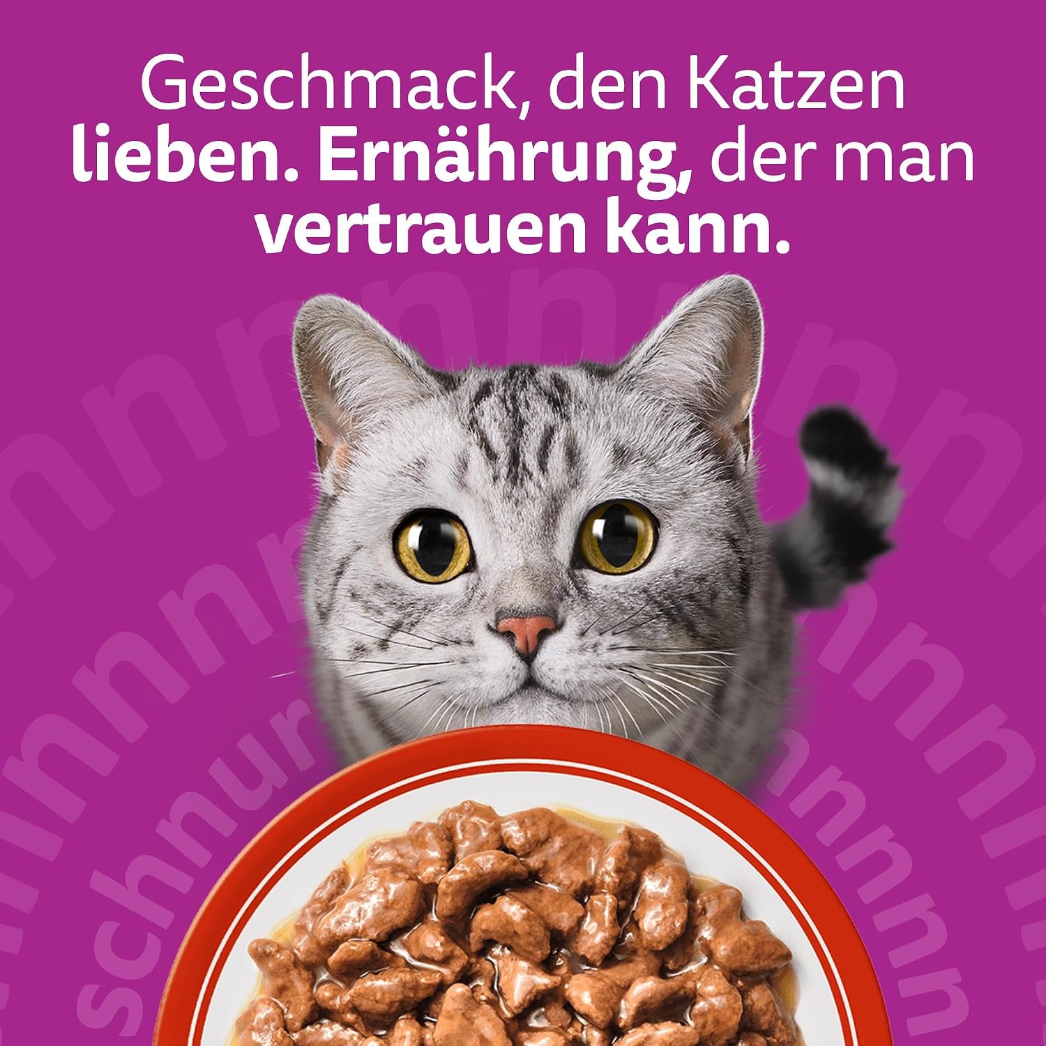 Katzenfutter WHISKAS Nassfutter in Sauce 7,14kg verschiedene Sorten