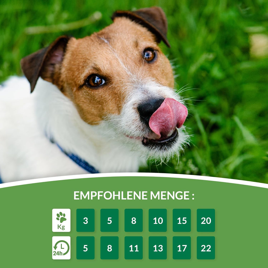 INABA Churu Rolls Hundesnack verschiedene Sorten Huhn