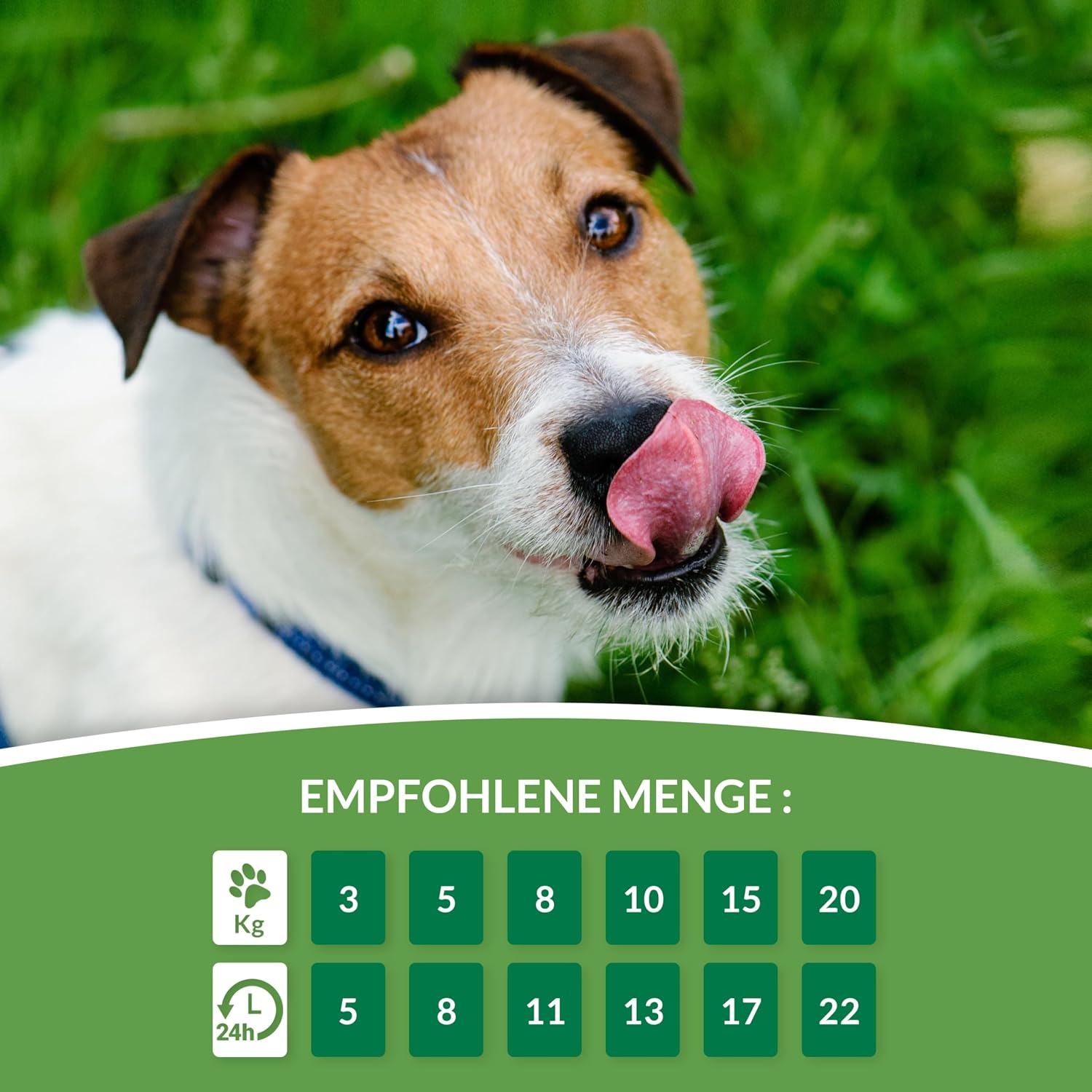 INABA Churu Rolls Hundesnack verschiedene Sorten Huhn