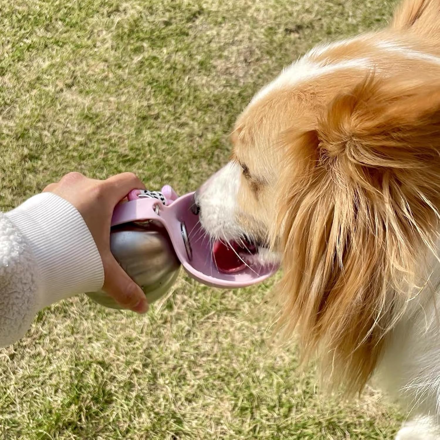 Edelstahl Hundetrinkflasche mit faltbarem Silikonnapf auslaufsicher